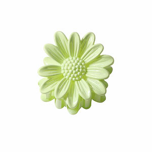 Gänseblümchen Haarklammer Klein