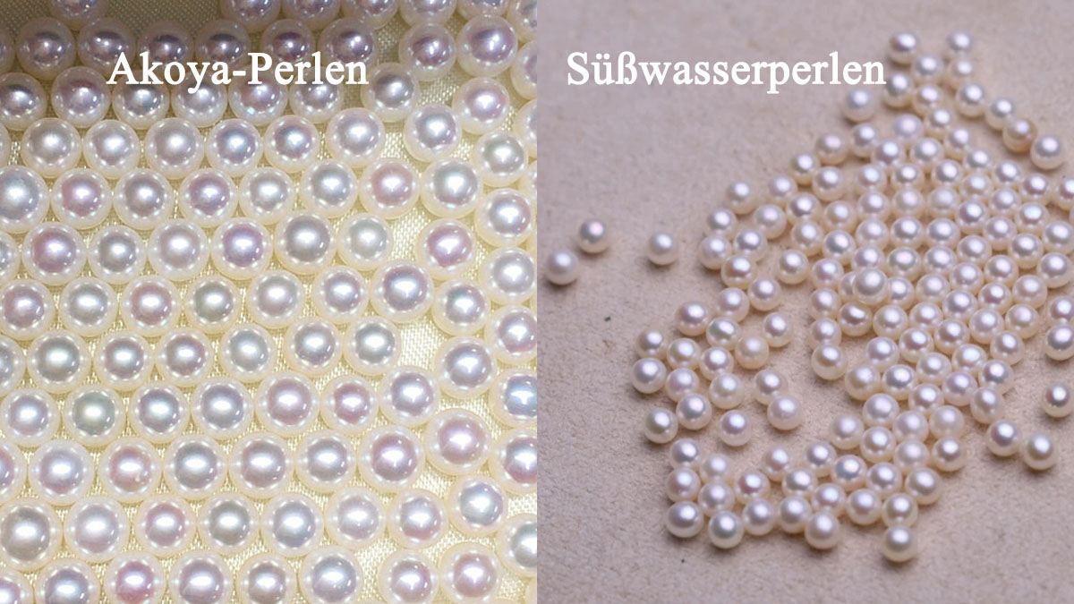 Akoya-Perlen und Süßwasserperlen unterscheiden